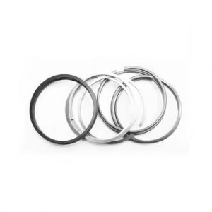 E2200 SEGMAN SET